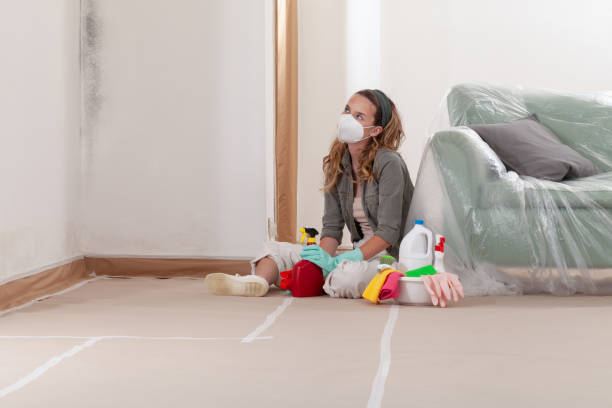 Reliable Mold Remediation contractor in Nashville, MI by Cheap Mold Removal